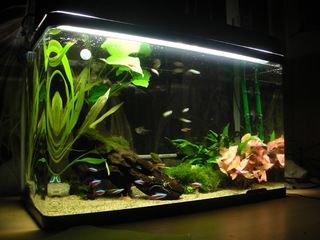 20150212b.jpg