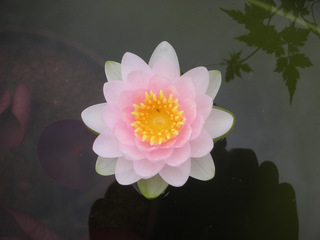 20150630b.jpg