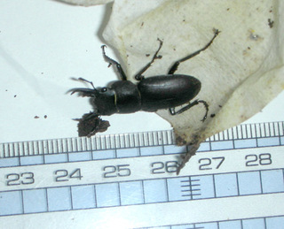 20150808c.jpg