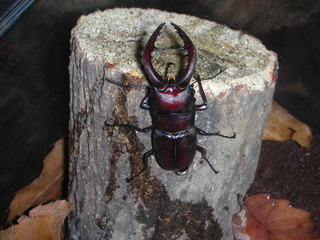 20150825a.jpg