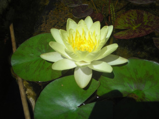 20170802a.jpg