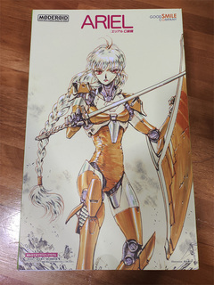 ariel001.jpg