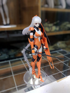 ariel030.jpg