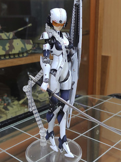 ariel116.jpg