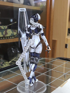 ariel119.jpg