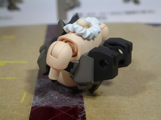 gouraikai2008.jpg